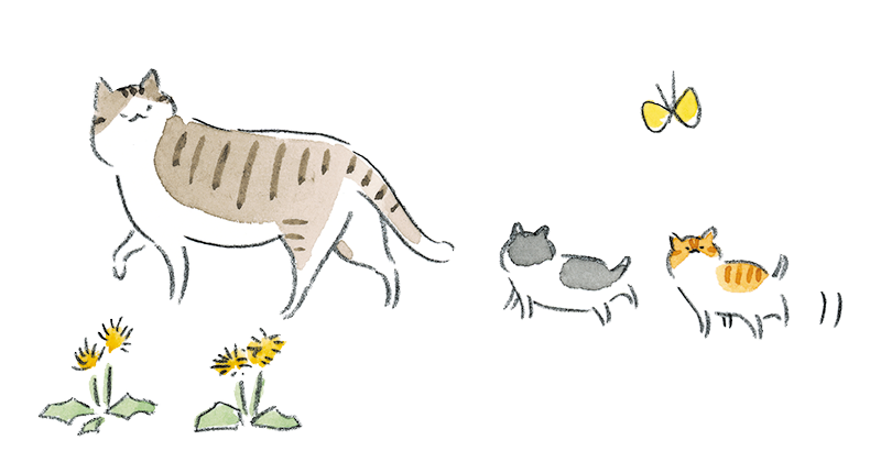 ねこのほそみち