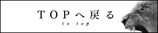 TOPへ戻る to top
