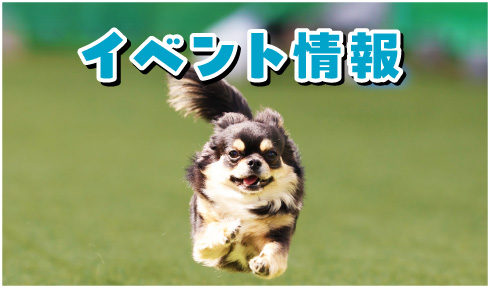 イベント情報