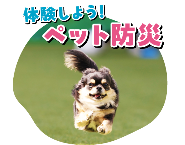 体験しよう！ペット防災