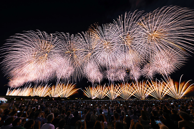 長岡花火の核心──復興祈願花火フェニックスとは