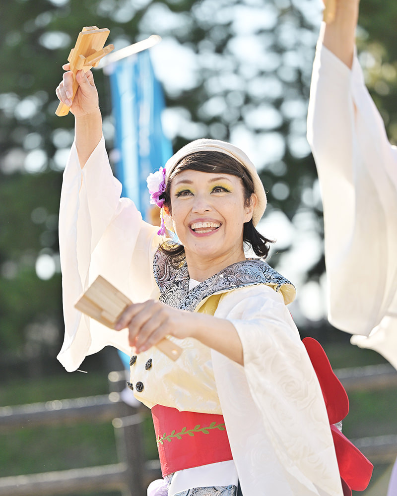 南国土佐から全国へ。日本を沸かせるよさこいを見る