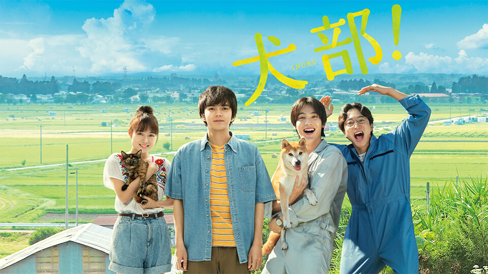 映画「犬部！」