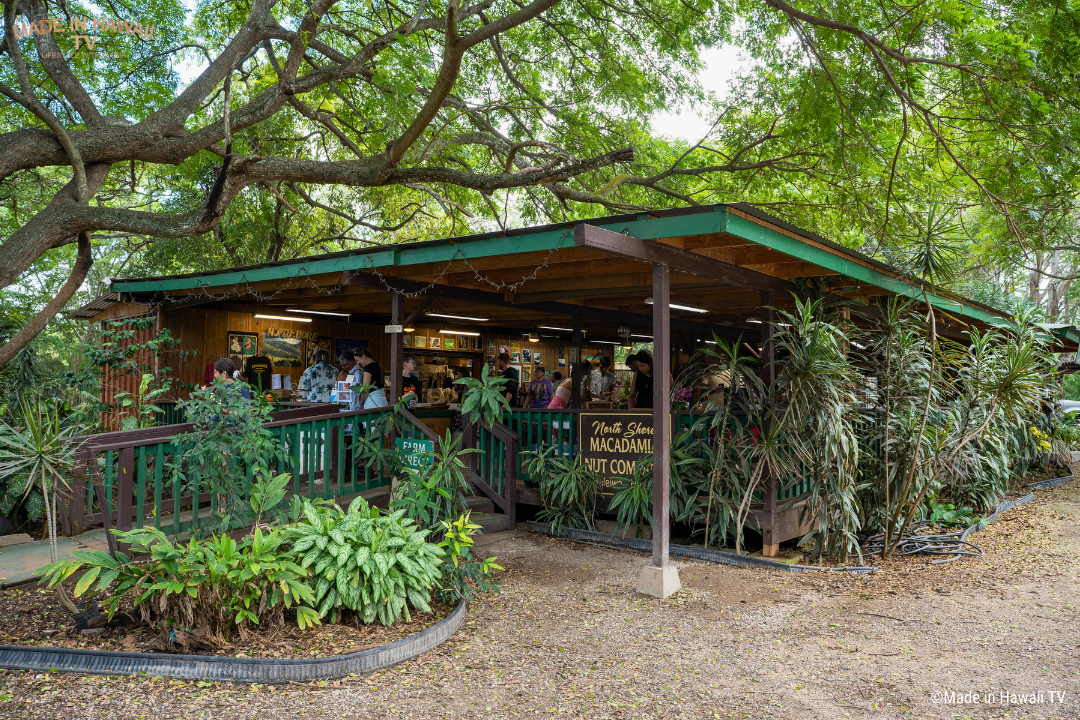 ノースショアマカダミアナッツカンパニーの外観