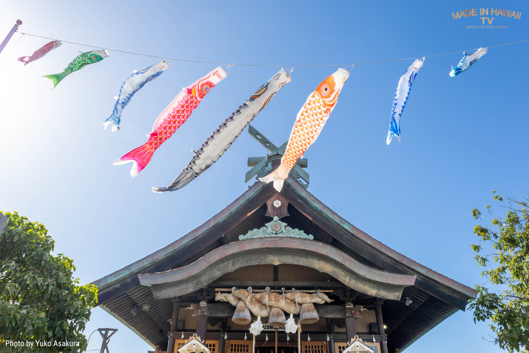 ハワイ出雲大社の鯉のぼり