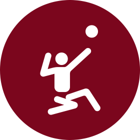 シッティングバレーボール