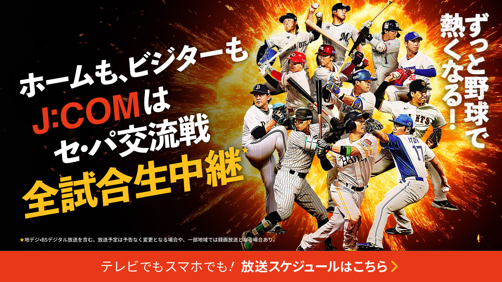 ホームも、ビジターもJ:COMはセ・パ交流戦全試合生中継