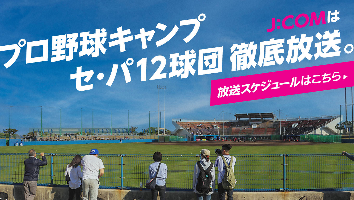 プロ野球 キャンプ中継