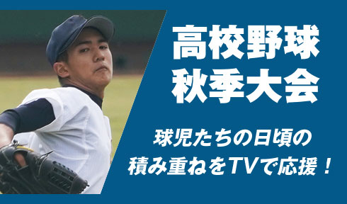 高校野球地方大会