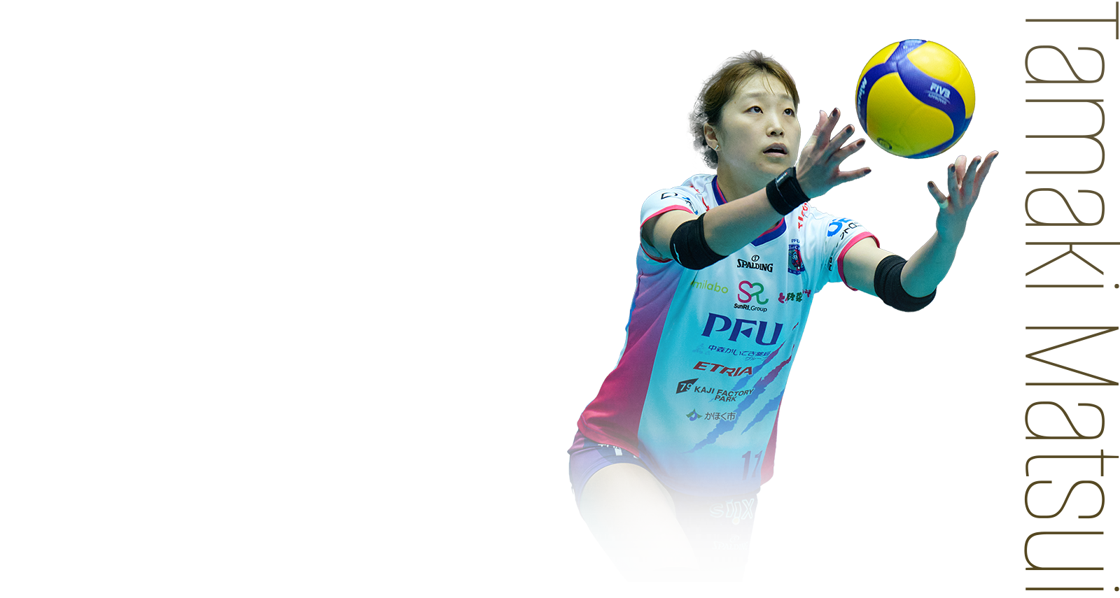 松井 珠己