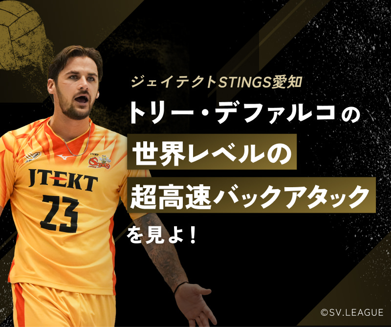 トリー・デファルコ