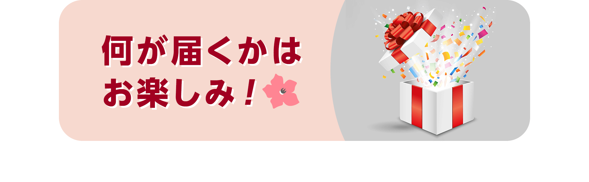 何が届くかはお楽しみ！