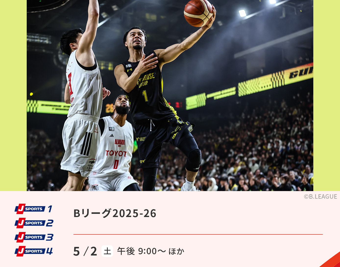 Bリーグ2025-26