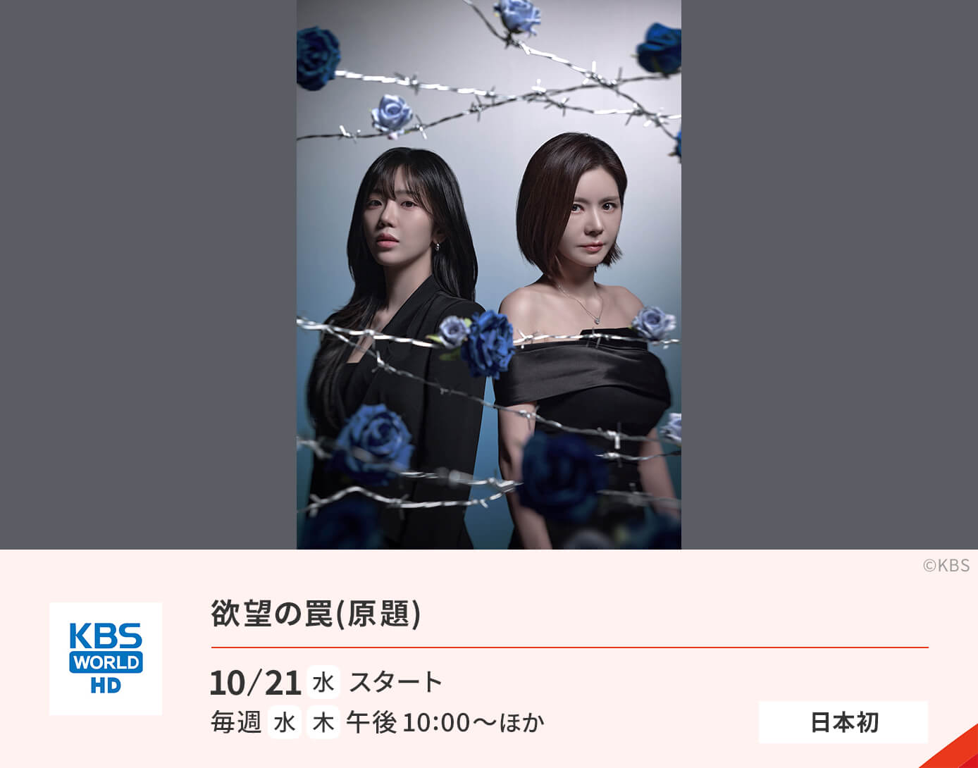 欲望の罠(原題)