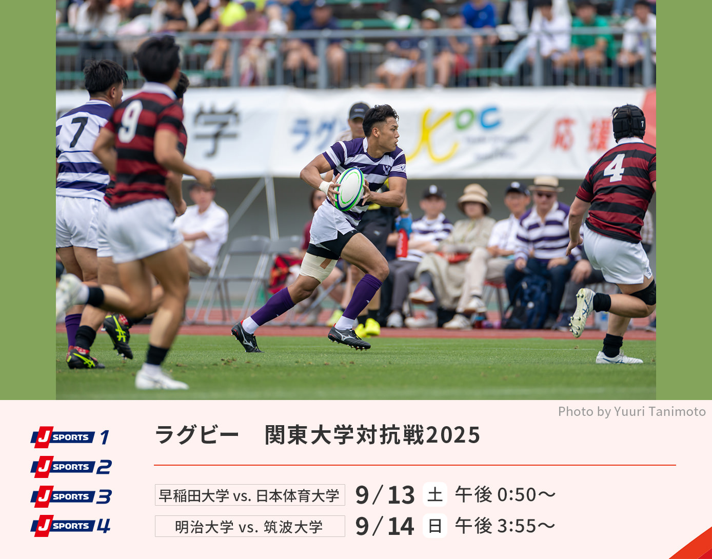 ラグビー　関東大学対抗戦2025