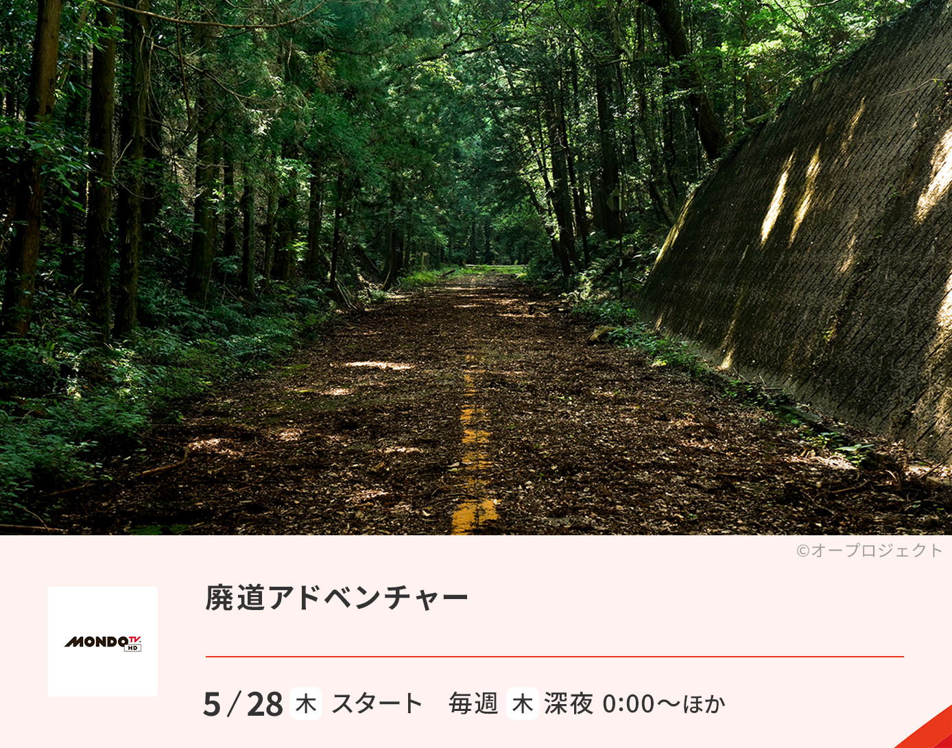 廃道アドベンチャー