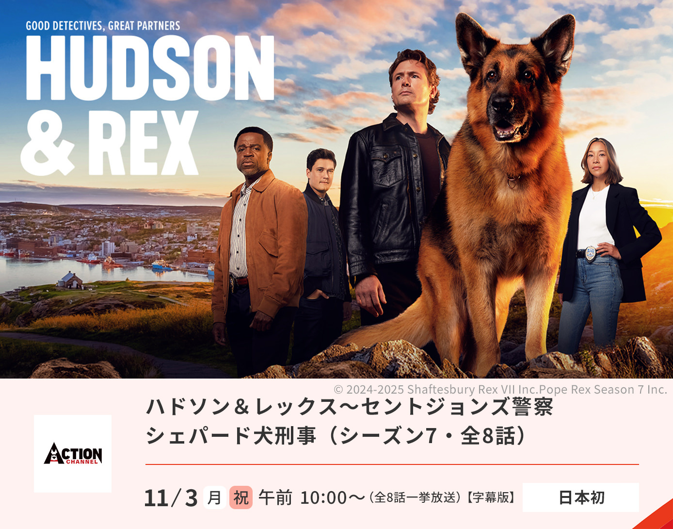 ハドソン＆レックス～セントジョンズ警察シェパード犬刑事（シーズン7）