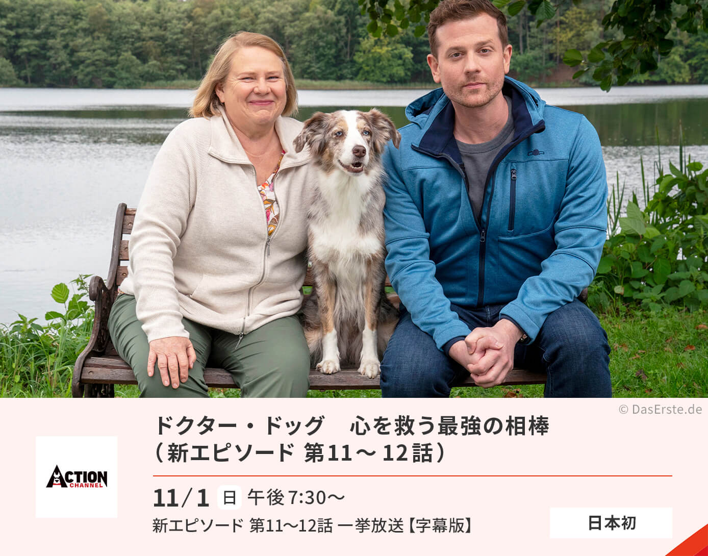 ドクター・ドッグ　心を救う最強の相棒（第11～12話）