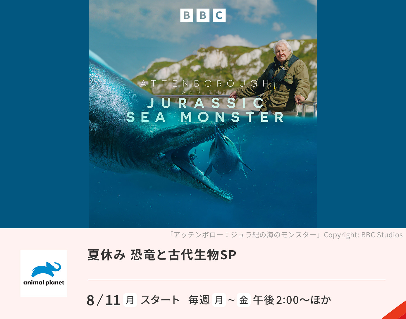 夏休み 恐竜と古代生物SP