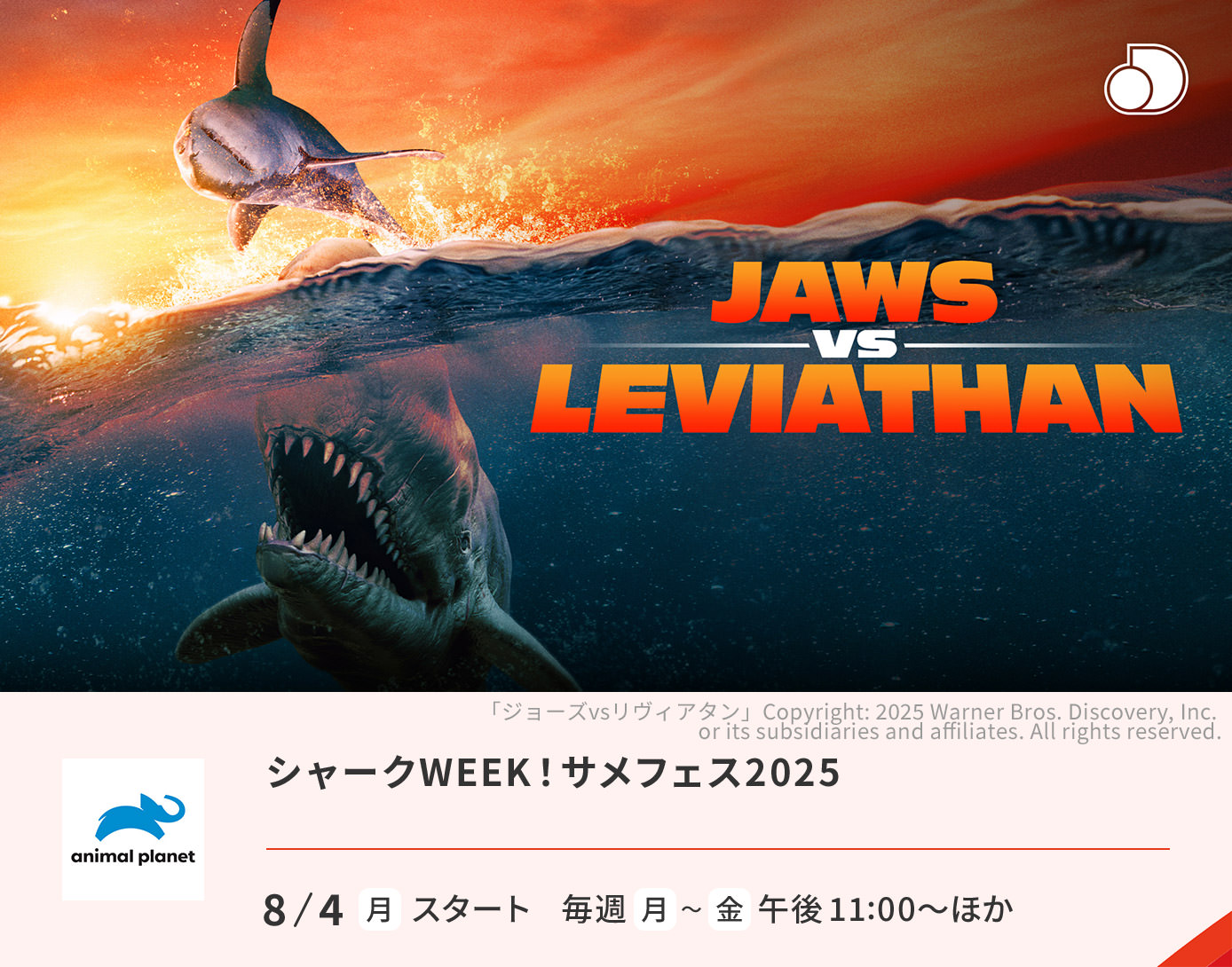 シャークWEEK！サメフェス2025
