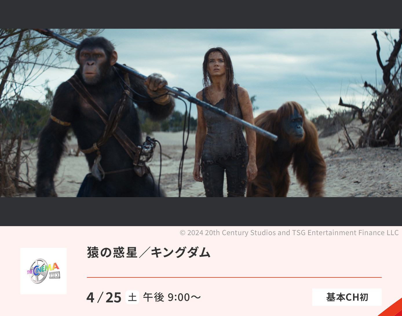 猿の惑星／キングダム