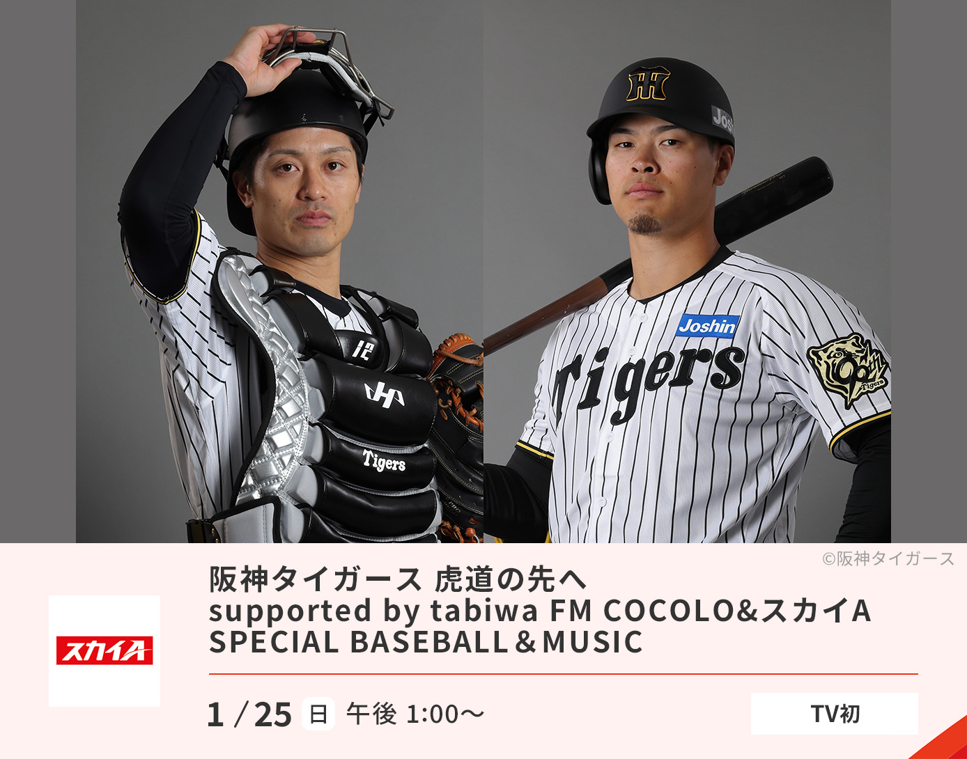 阪神タイガース　虎道の先へ supported by tabiwa