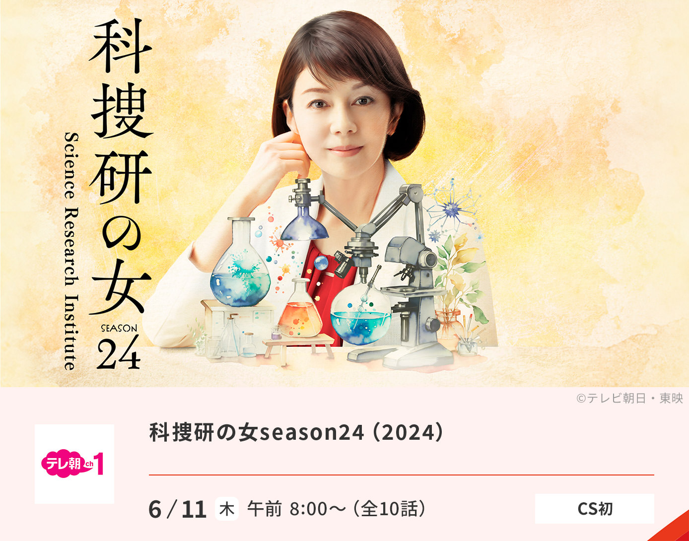 科捜研の女season24（2024）
