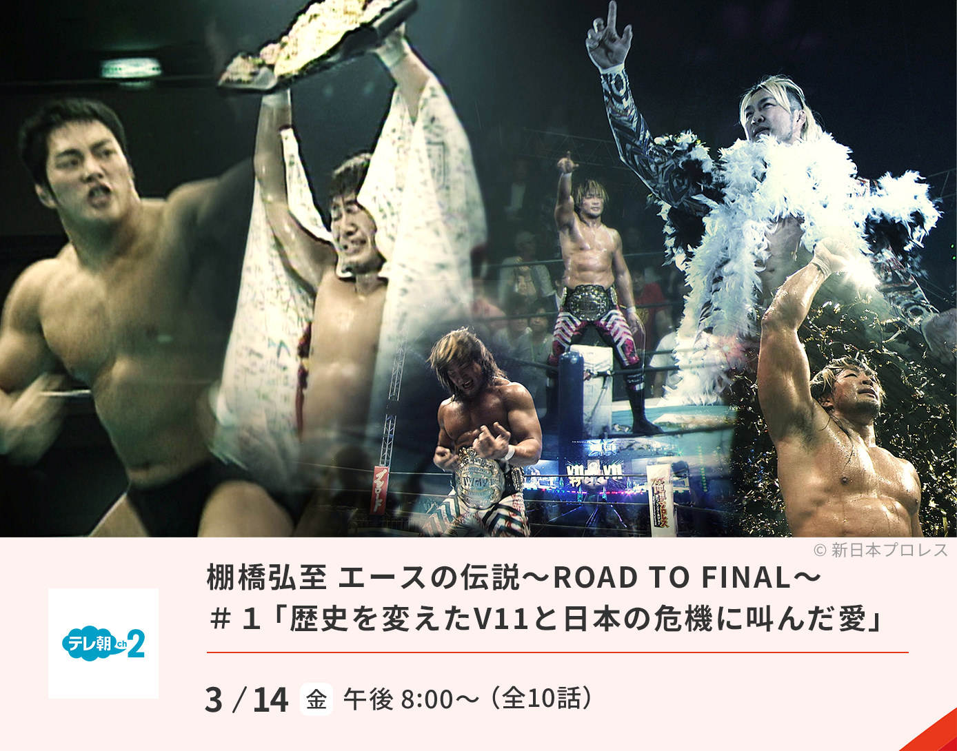 棚橋弘至 エースの伝説～ROAD TO FINAL～