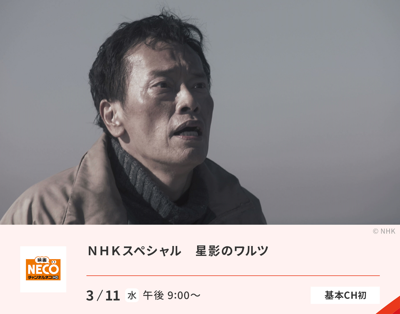 ＮＨＫスペシャル　星影のワルツ