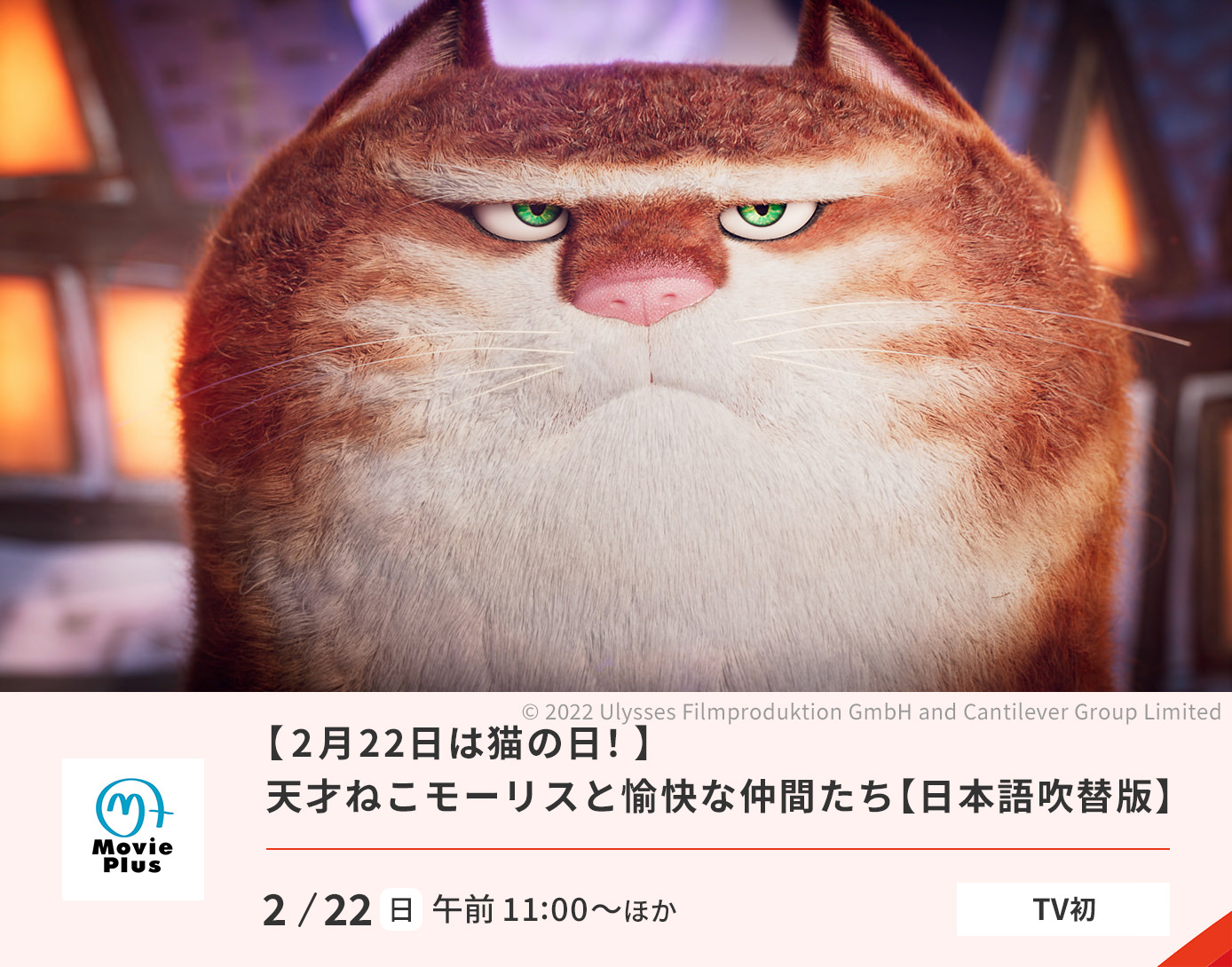 天才ねこモーリスと愉快な仲間たち【日本語吹替版】