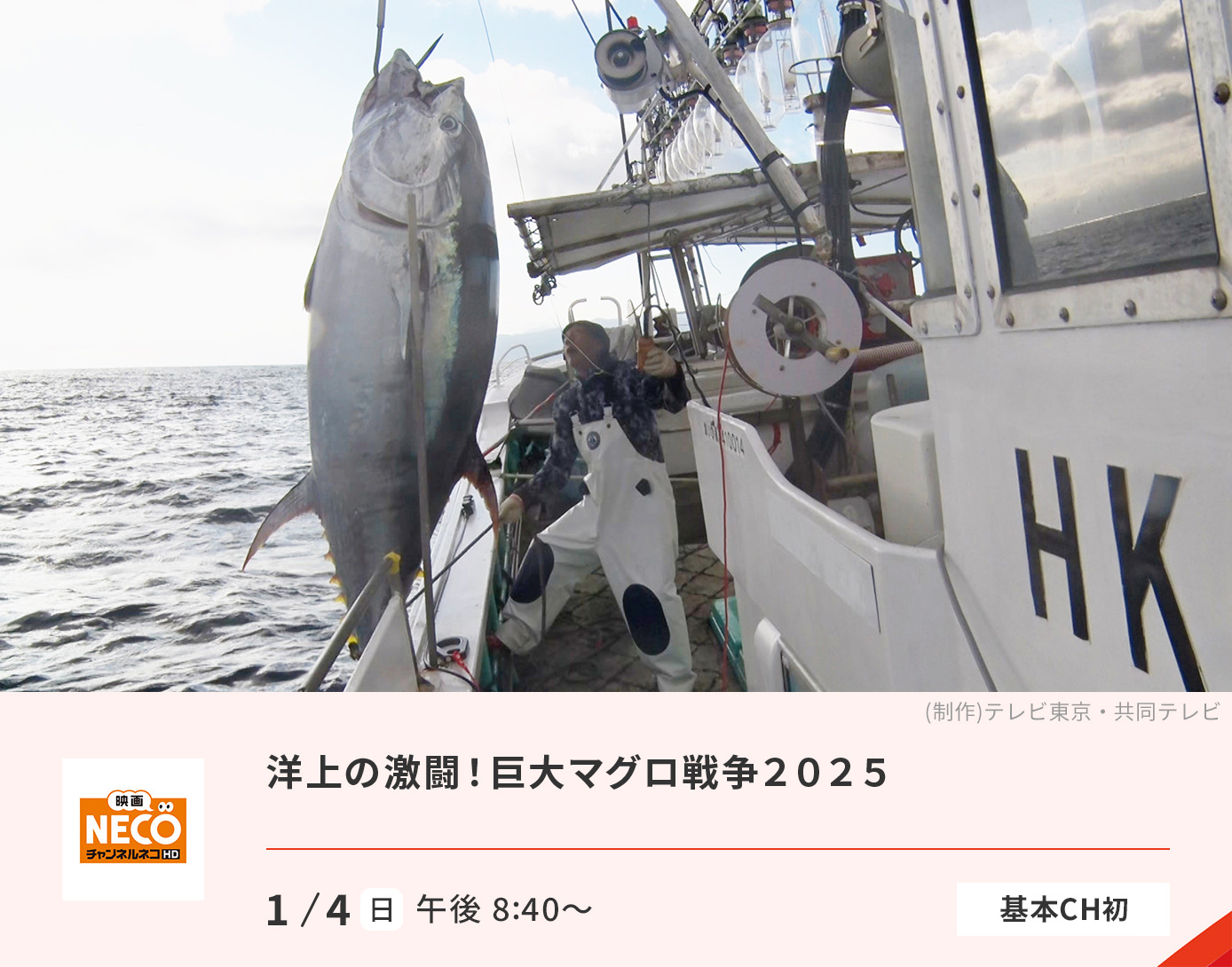 洋上の激闘！巨大マグロ戦争2025