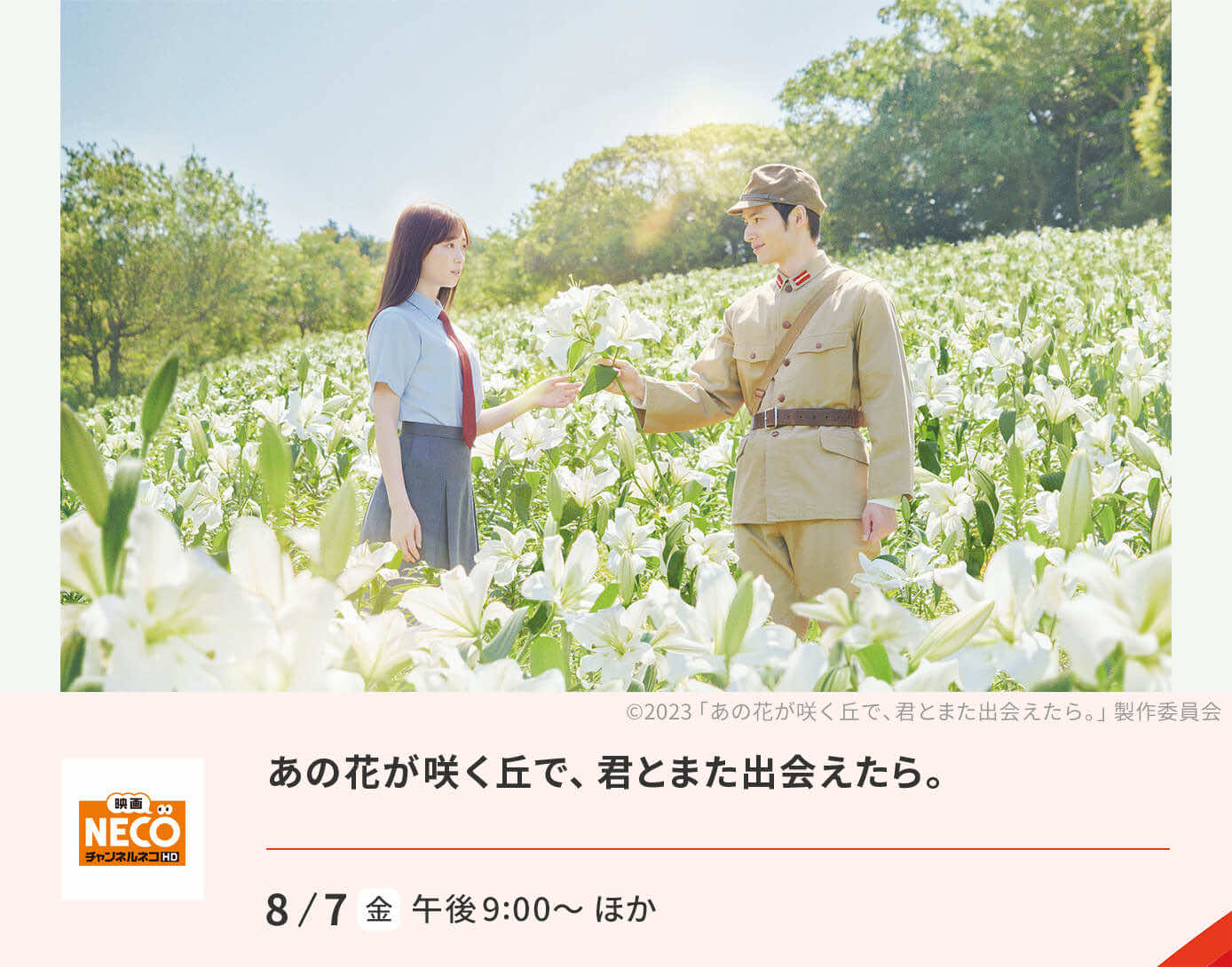 あの花が咲く丘で、君とまた出会えたら。