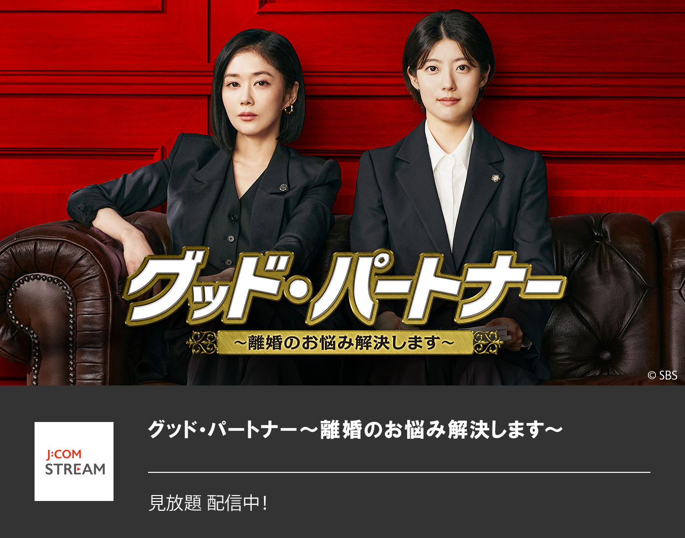 グッド・パートナー～離婚のお悩み解決します～
