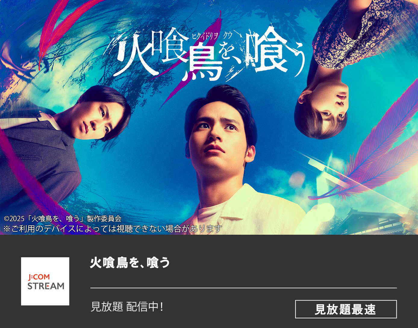 火喰鳥を、喰う