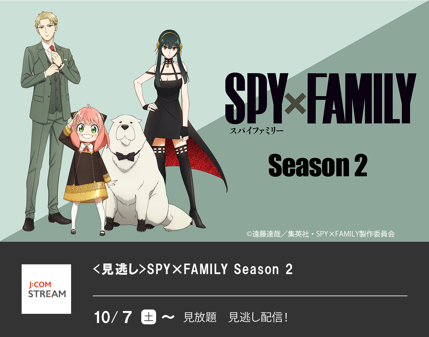 <見逃し>SPY×FAMILY Season 2