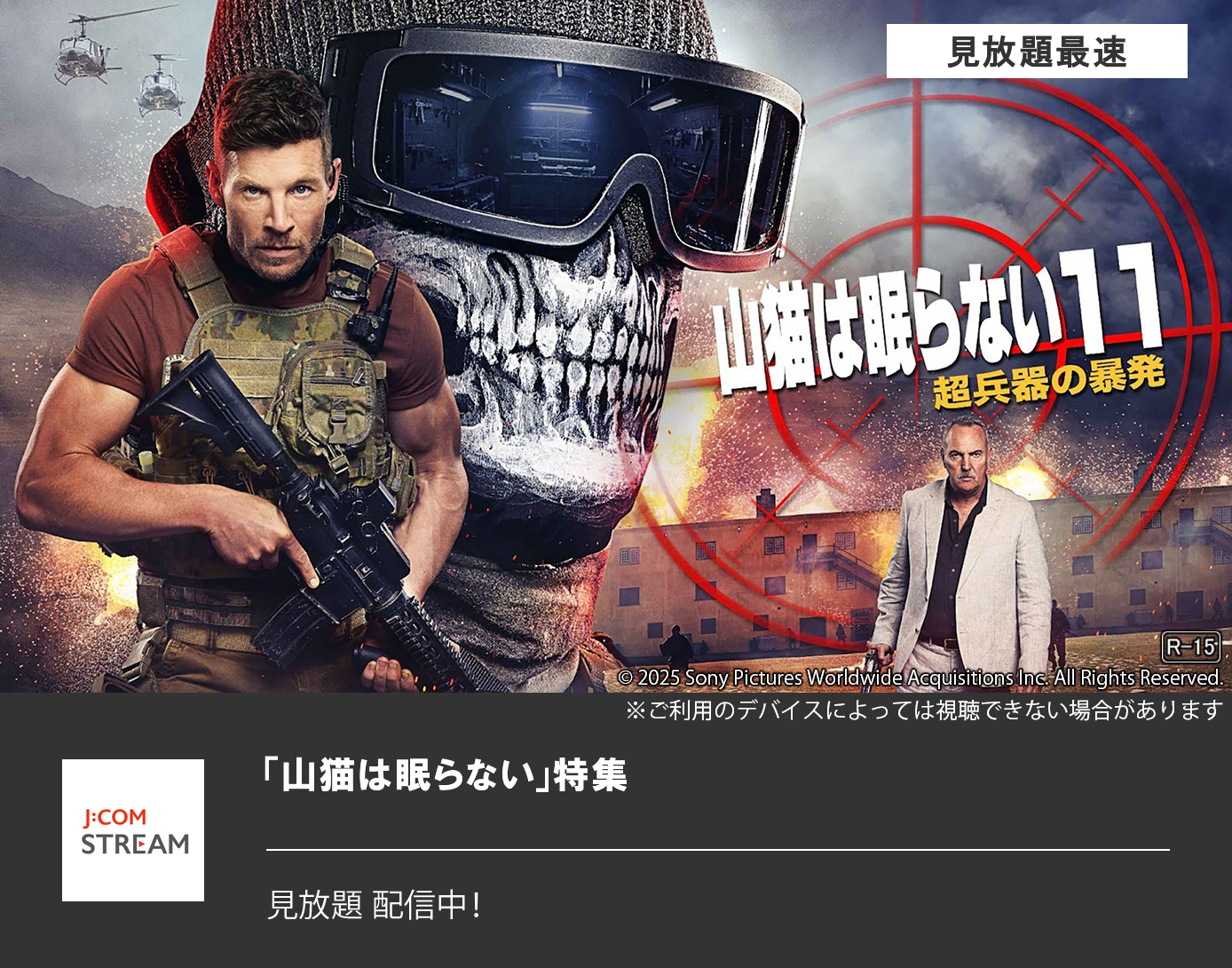 山猫は眠らない11 超兵器の暴発