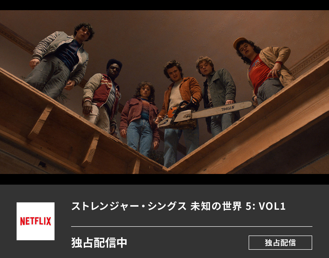 ストレンジャー・シングス 未知の世界 5 Vol.1